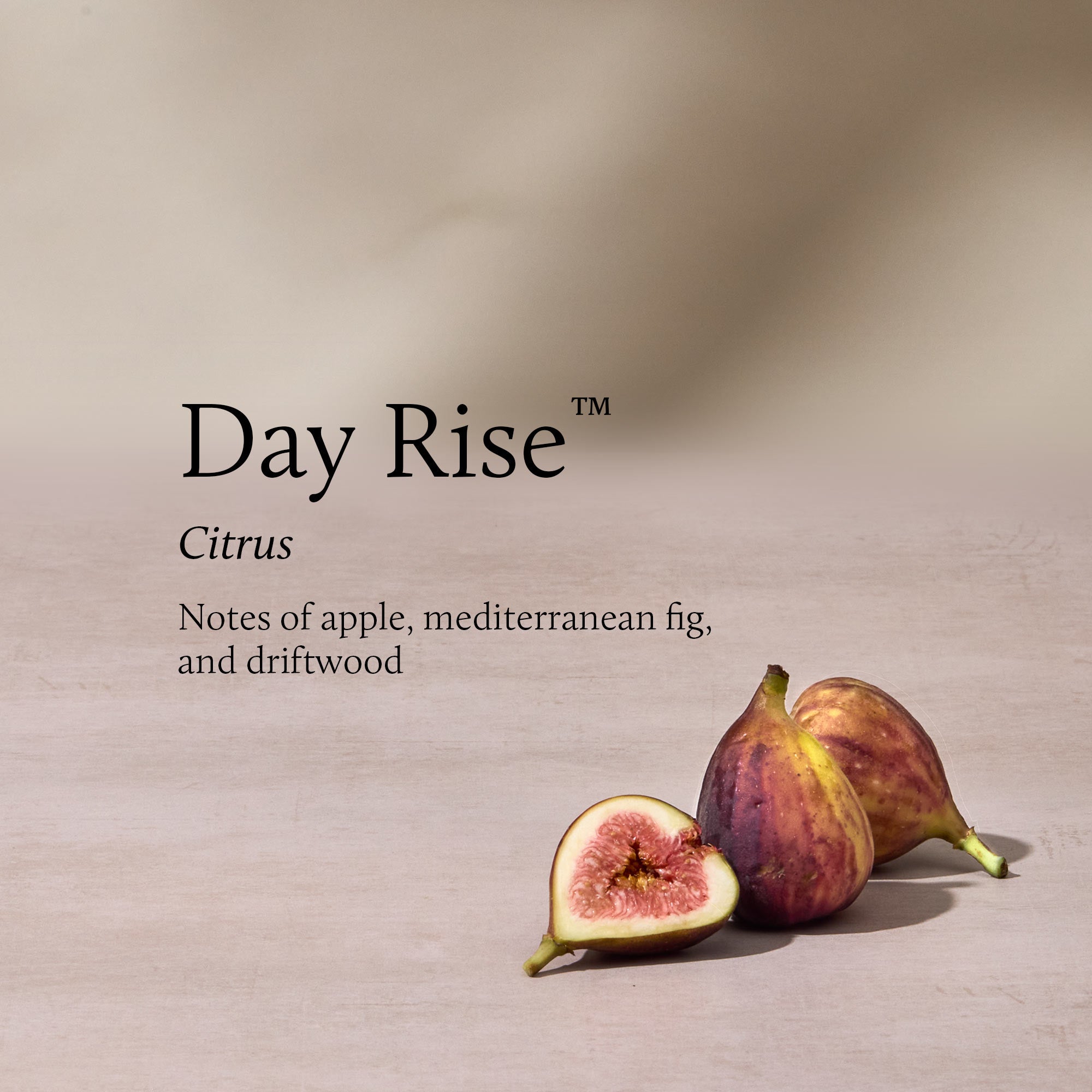Day Rise 13 oz 2-Wick Candle