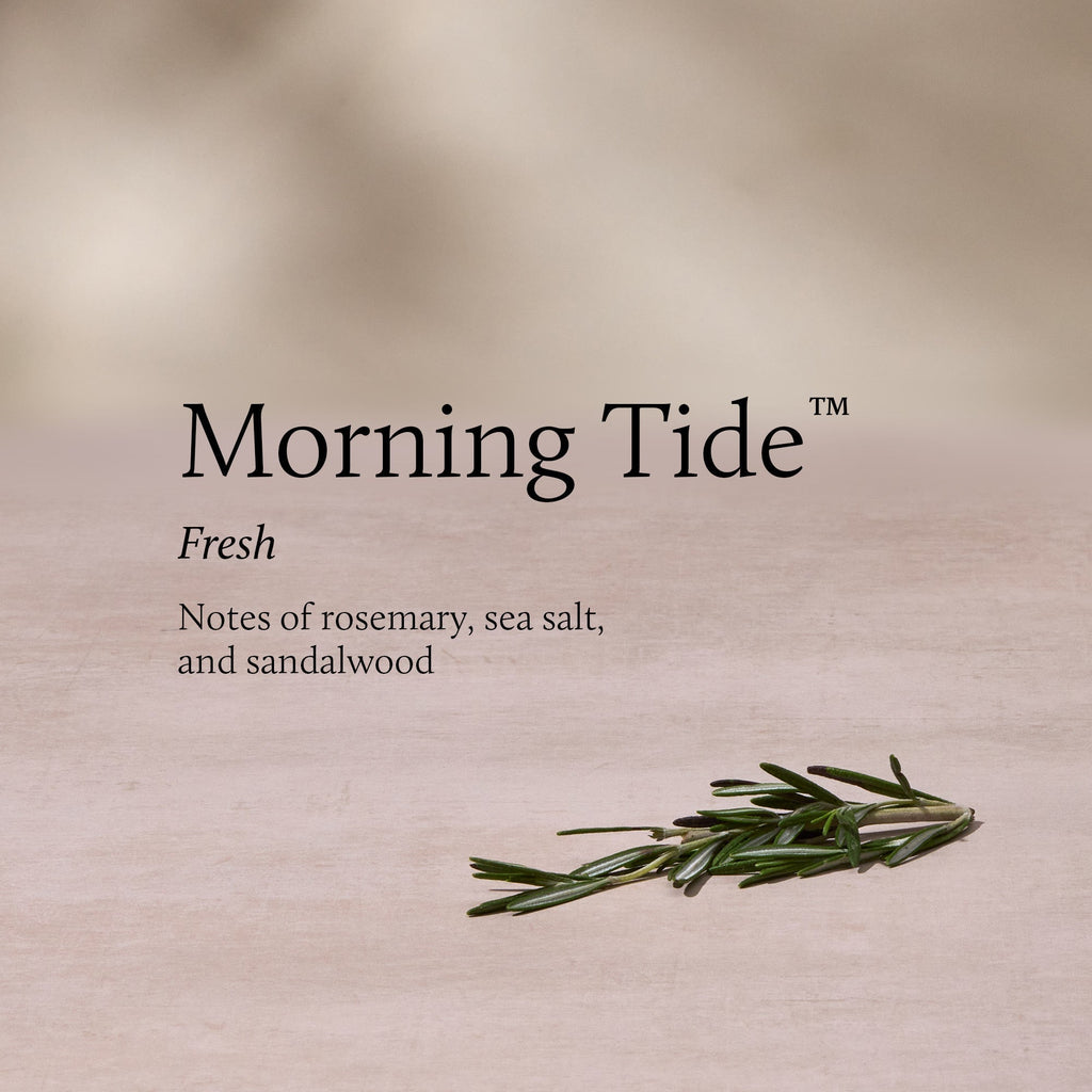 Morning Tide Petite Reed Diffuser