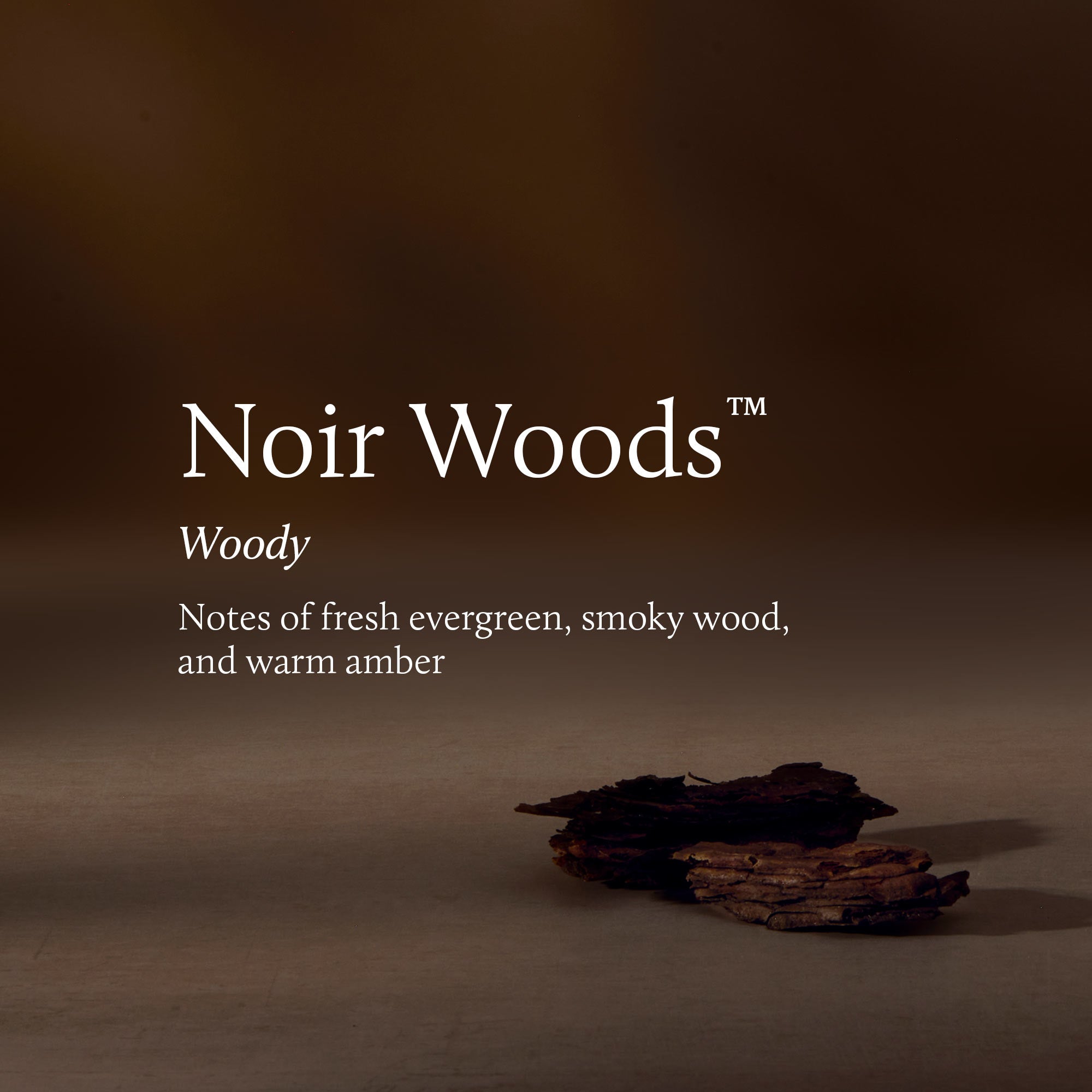 Noir Woods 6.5 oz Poured Candle