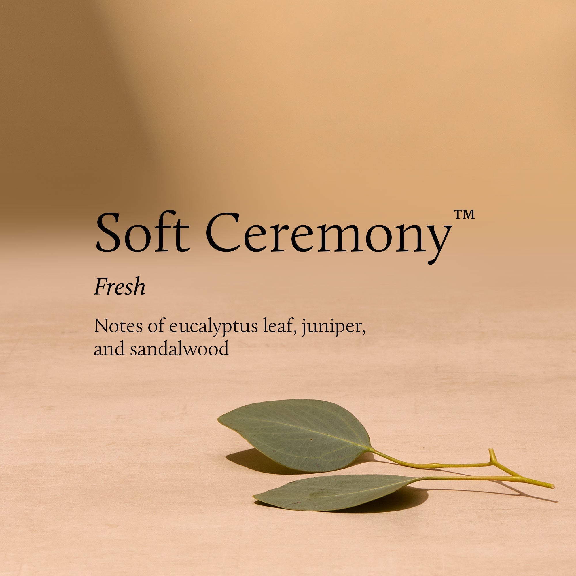Soft Ceremony Home Fragrance Mist