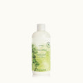 Eucalyptus Surface Scrub