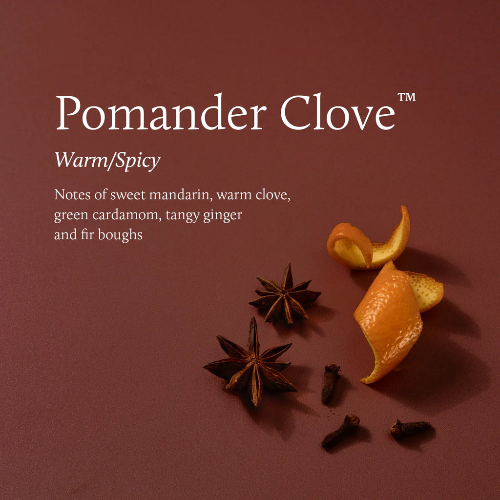 Pomander Clove Votive Candle 